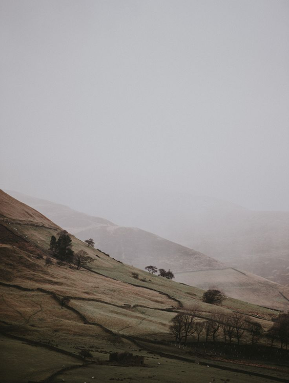 Field Notes